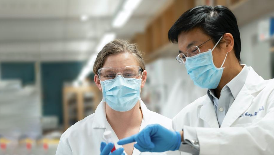 Doctor showing a colleague something on lab equipment