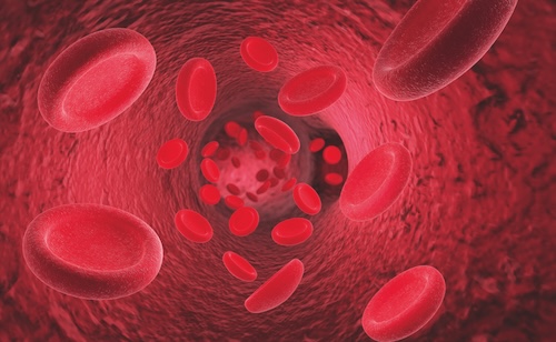 Red blood cells